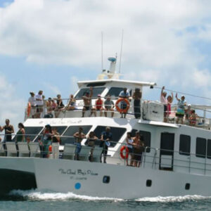 Isla Tortuga