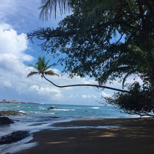 Corcovado 3 Days/2 Nights